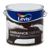Levis Ambiance plafond wit 2,5 l