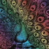Merkloos Artfoil Rainbow Peacock