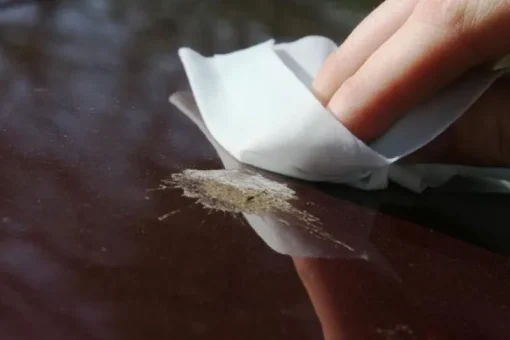 Autoglym Bird dropping wipes