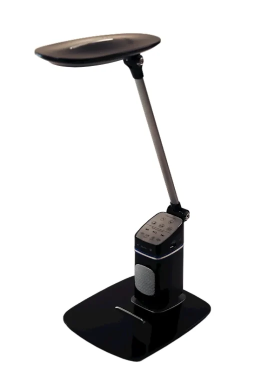 Euro Light Bureaulamp LED, zwart 10 W