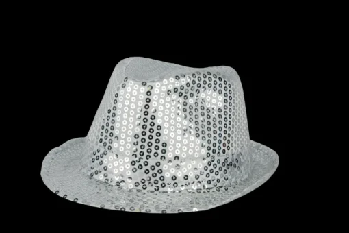 Partyline Feesthoedje, zilver