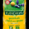 Evergreen Gazonkalk 20 kg