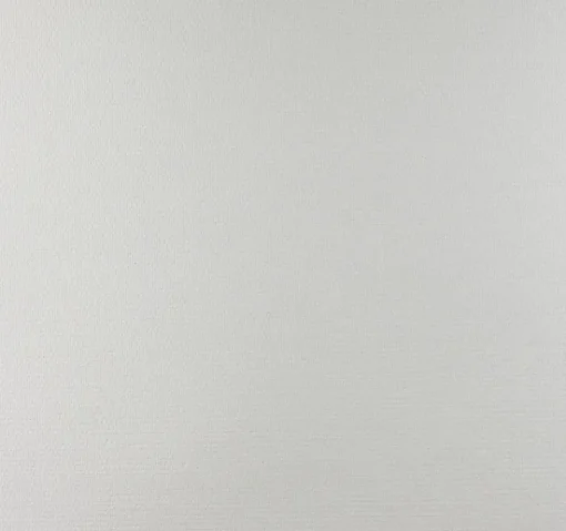 Dutch Wallcoverings Glasweefsel voorgeschilderd fijn 25 m