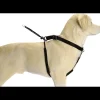 Beeztees Halsband Gentle Walker zwart L