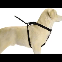 Beeztees Halsband Gentle Walker zwart L