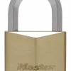 Masterlock Hangslot 50 mm 9 mm diameter 6 pins