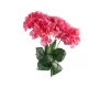 DDD Hortensia Imani