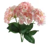 DDD Hortensia Irina