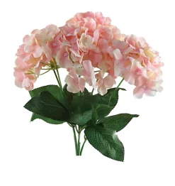 DDD Hortensia Irina