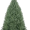 DDD Kerstboom Belledridge 240 cm