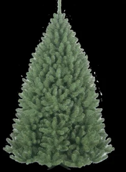 DDD Kerstboom Belleridge 225cm