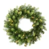 DDD Kerstkrans groen + Led 50 cm