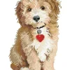 Dotz Lovely Boy Diamond