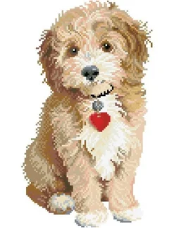 Dotz Lovely Boy Diamond
