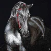 Dotz Midnight Stallion Diamond