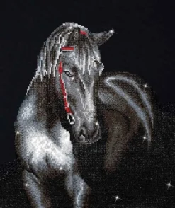 Dotz Midnight Stallion Diamond
