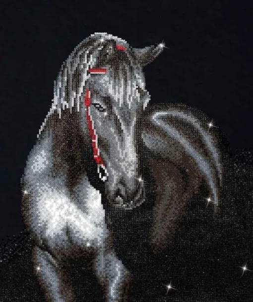 Dotz Midnight Stallion Diamond