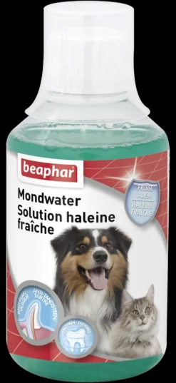 Beaphar Mondwater 250 ml