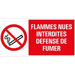 Pickup Pictogram interdit de feu 15 x 30 cm