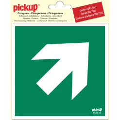 Pickup Pictogram richtingspijl 45° 15 x 15 cm