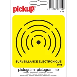Pickup Pictogram surveillance électronique 10 x 10 cm