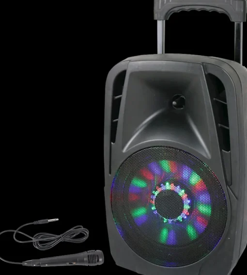 Party Portable sound system LED bluetooth 8''