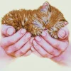 Dotz Precious Kitten Diamond