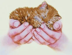 Dotz Precious Kitten Diamond