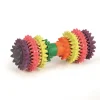 Beeztees Rubber dental care halter mint