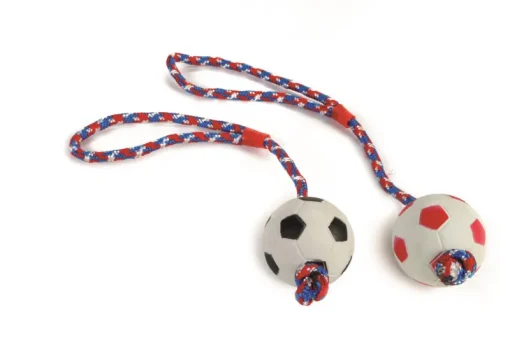 Beeztees Rubber sponzenbal 30 cm koord