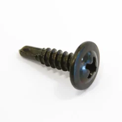 Carpoint Schroef zelftappend zwart 100 stuks