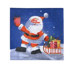 DDD Servetten Rudolf 33X33 cm 20 Stuks