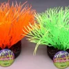 Sydeco Sunny plant 11 cm