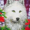 Dotz White Wolf Diamond