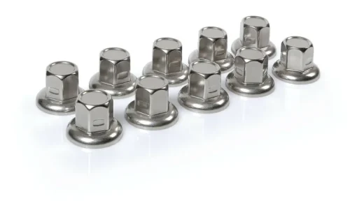 Euro Shop Wielmoerdoppen RVS x10 32mm