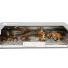 DDD Toys Wilde dieren speelset