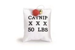 Beeztees Zakje met catnip 10 cm canvas